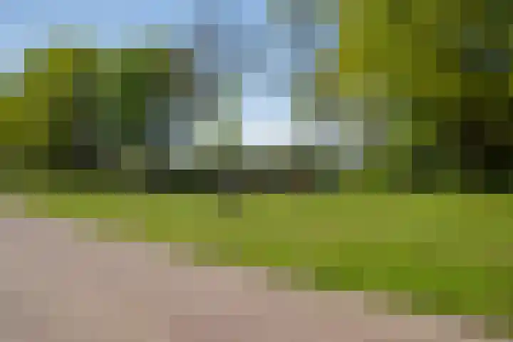 Molenweg 5 Roden thumbnail 13