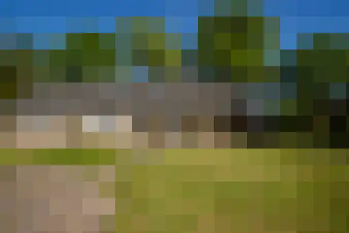 Molenweg 5 Roden thumbnail 14