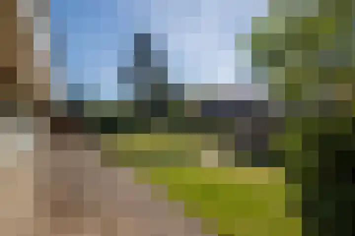 Molenweg 5 Roden thumbnail 15