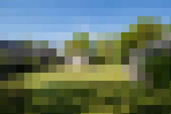 Molenweg 5 Roden thumbnail 16