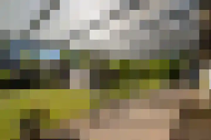 Molenweg 5 Roden thumbnail 19