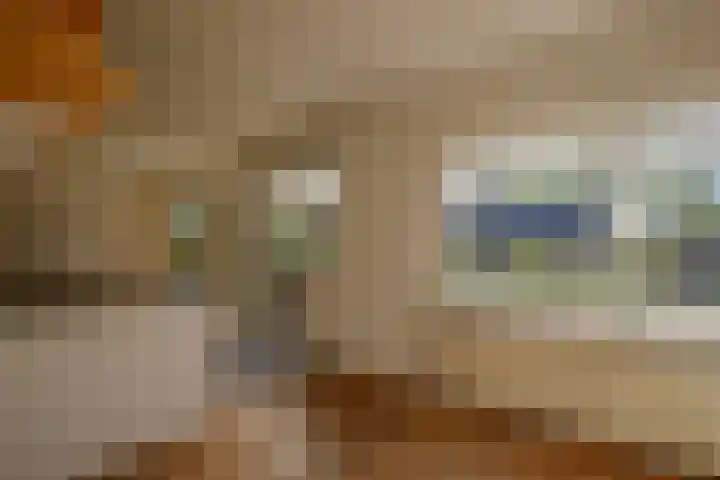 Molenweg 5 Roden thumbnail 28
