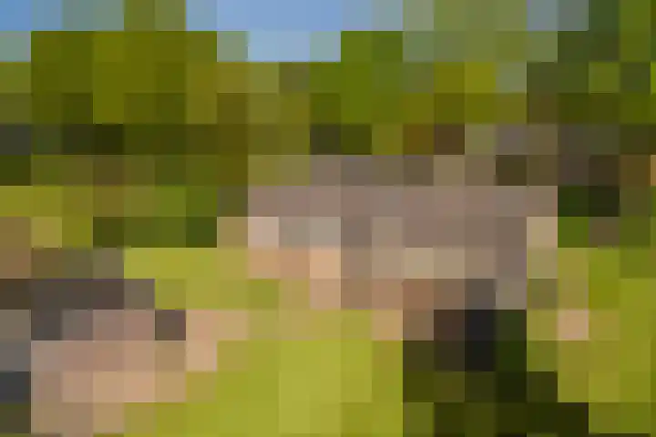 Molenweg 5 Roden thumbnail 4