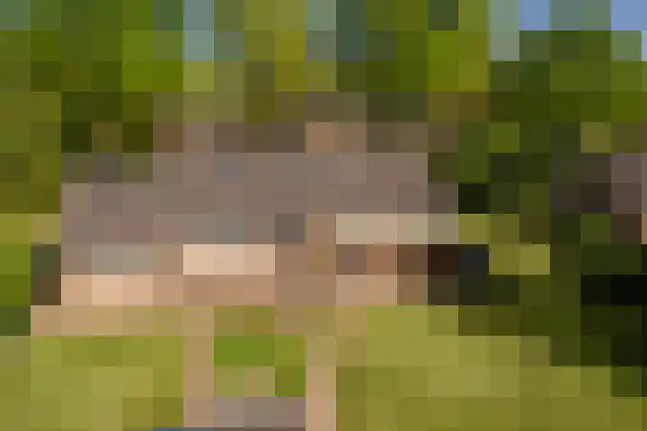 Molenweg 5 Roden thumbnail 6