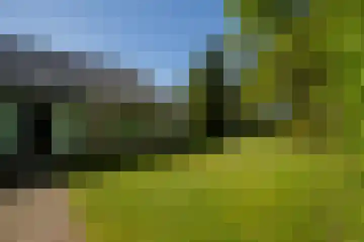 Molenweg 5 Roden thumbnail 7