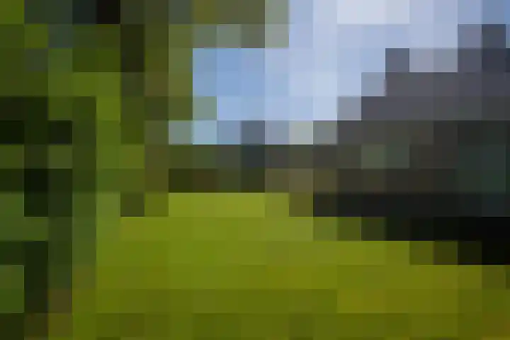 Molenweg 5 Roden thumbnail 8