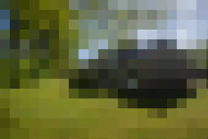 Molenweg 5 Roden thumbnail 9