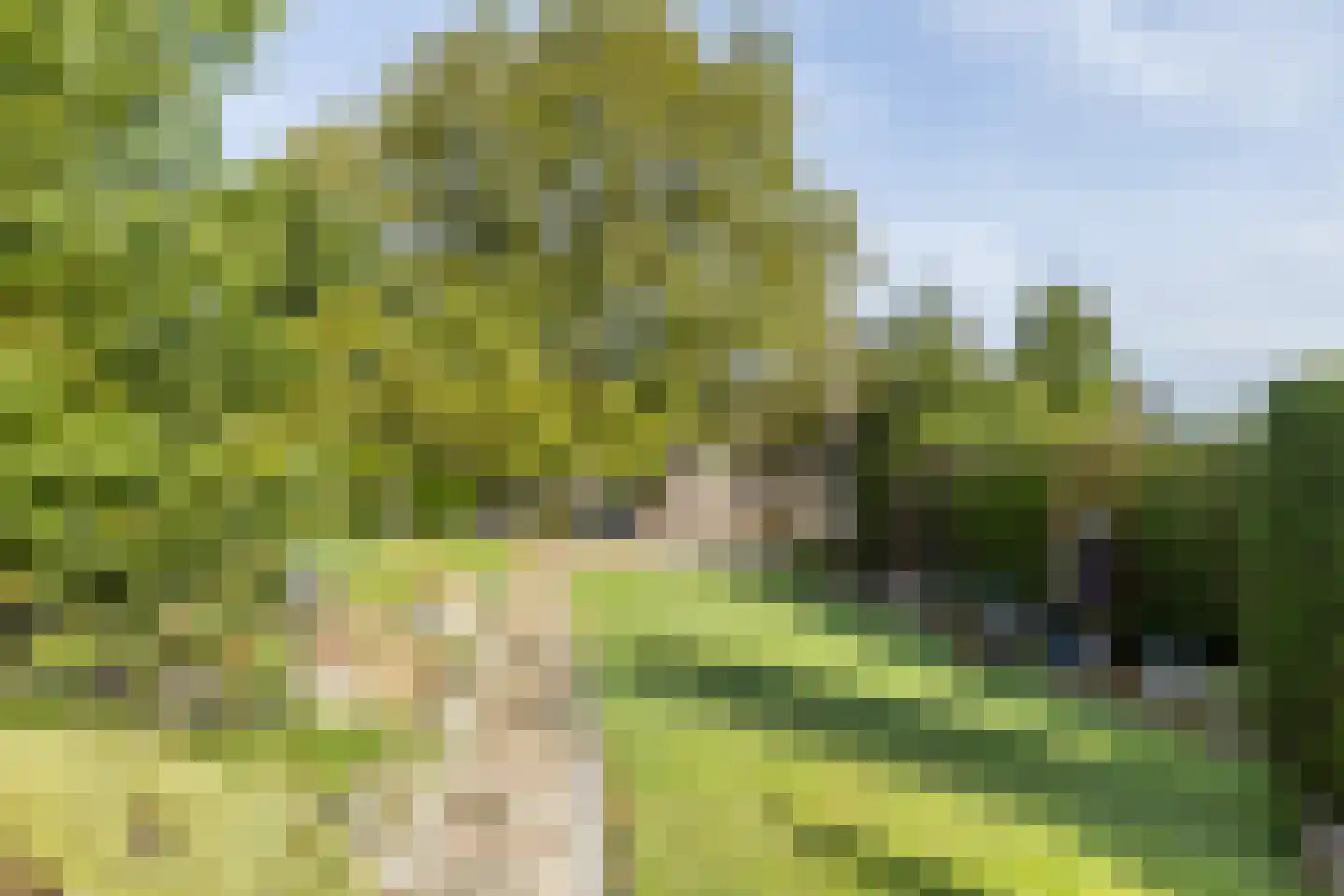 Molenweg 5 Wijnandsrade thumbnail 48