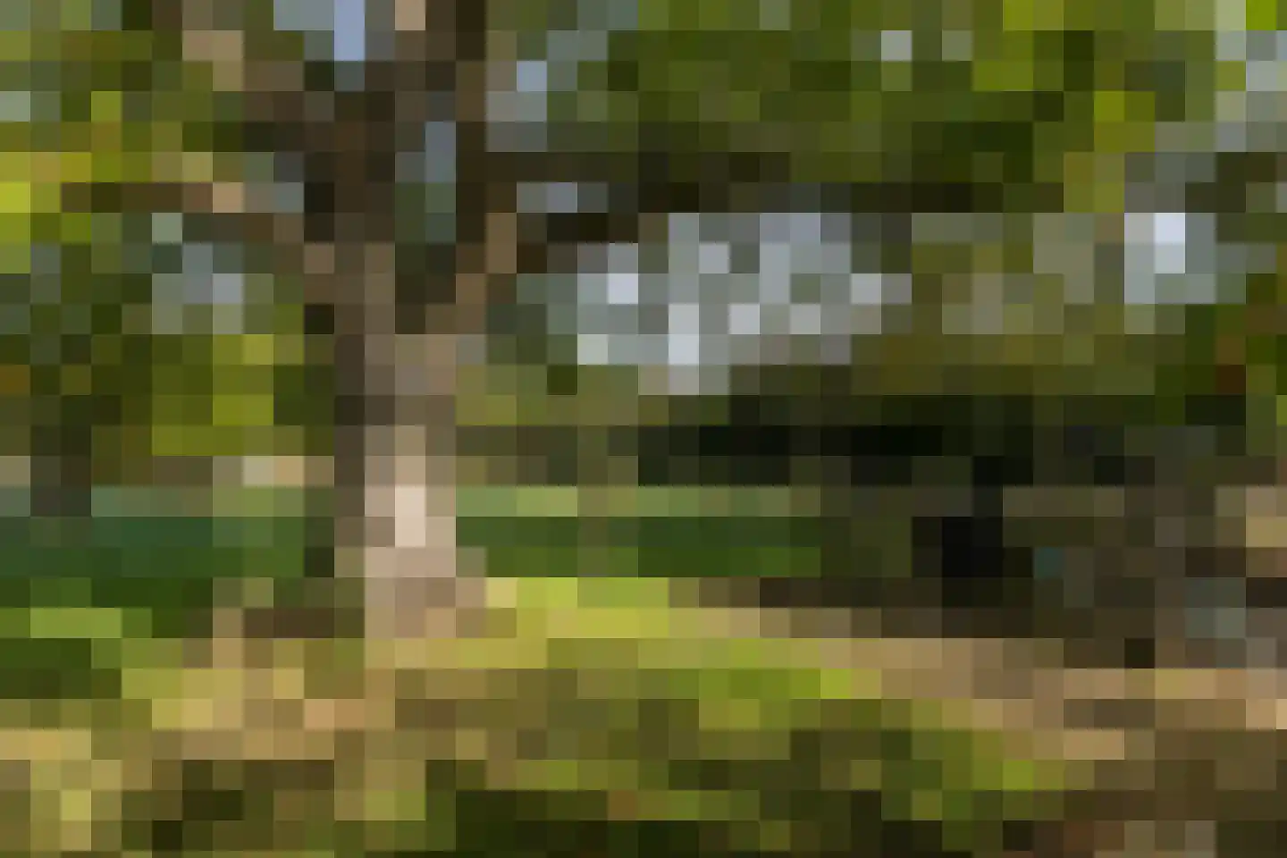 Molenweg 5 Wijnandsrade thumbnail 52