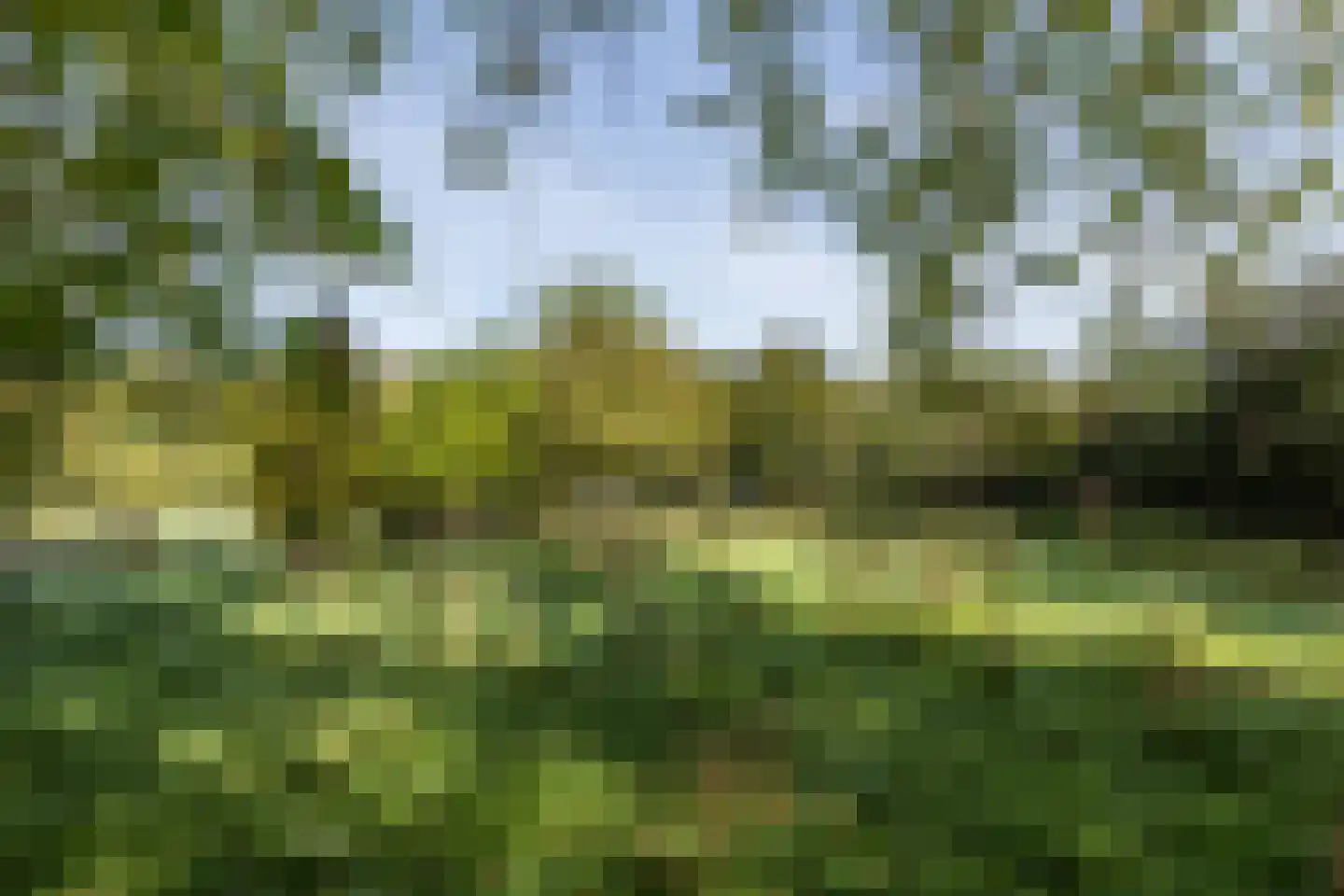 Molenweg 5 Wijnandsrade thumbnail 53