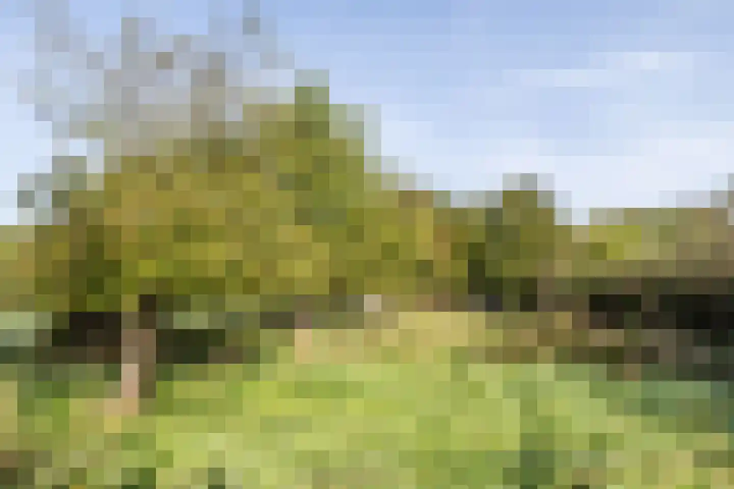 Molenweg 5 Wijnandsrade thumbnail 54
