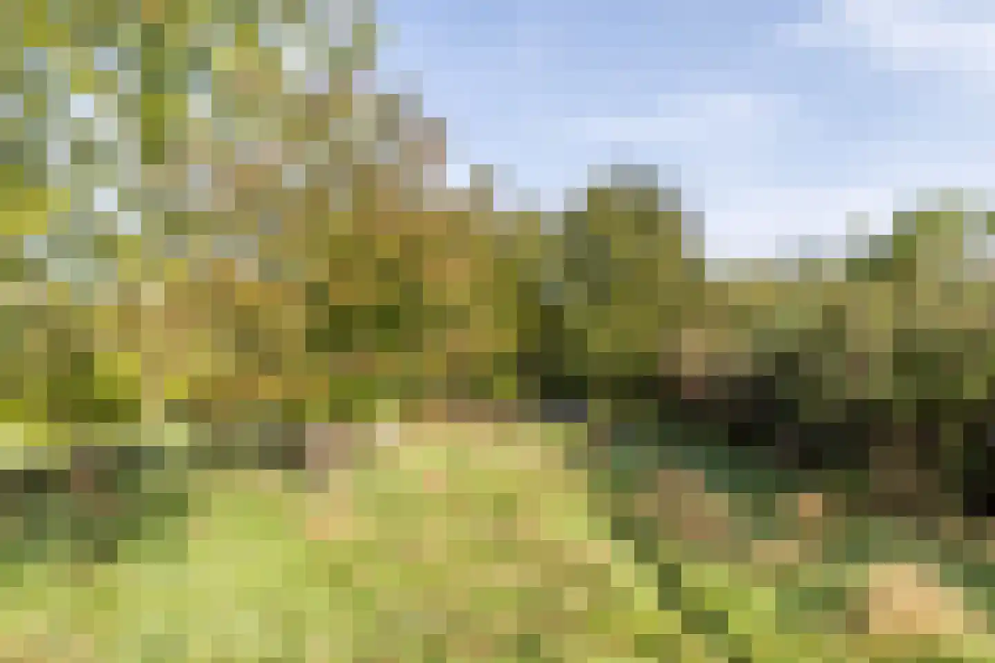 Molenweg 5 Wijnandsrade thumbnail 55