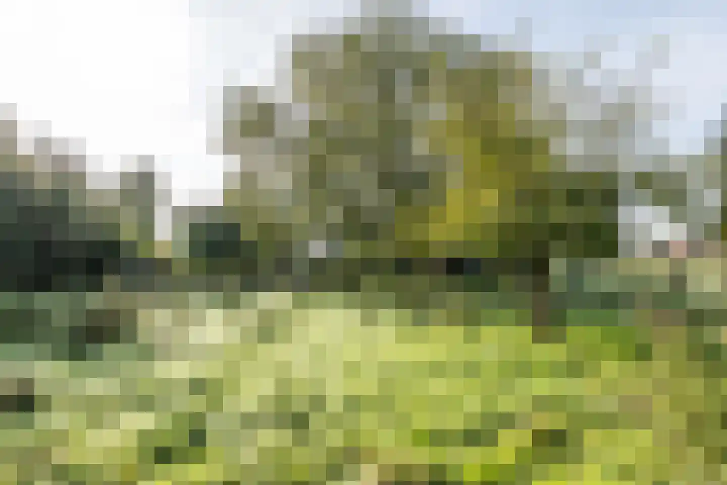 Molenweg 5 Wijnandsrade thumbnail 56