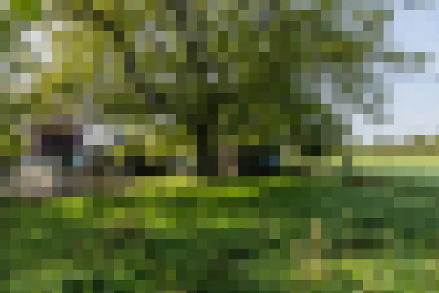Molenweg 5 Wijnandsrade thumbnail 57