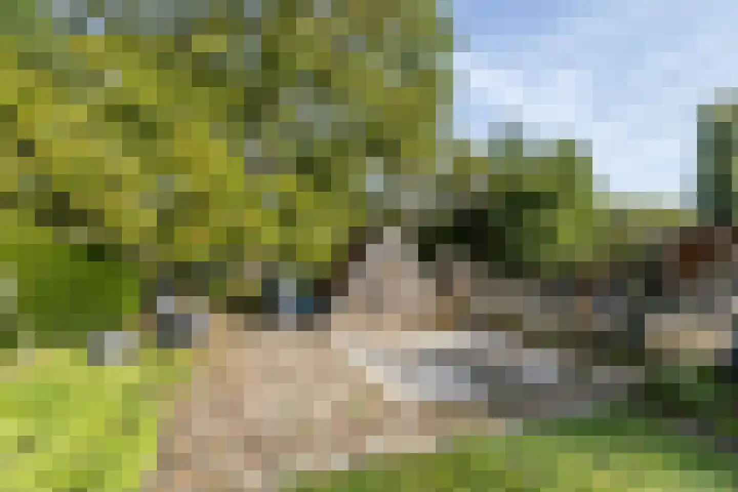 Molenweg 5 Wijnandsrade thumbnail 59