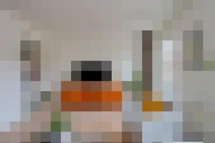 Molenweg 50 Maarssen thumbnail 11