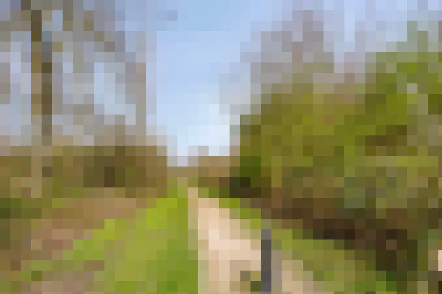 Molenweg 50 Maarssen thumbnail 39