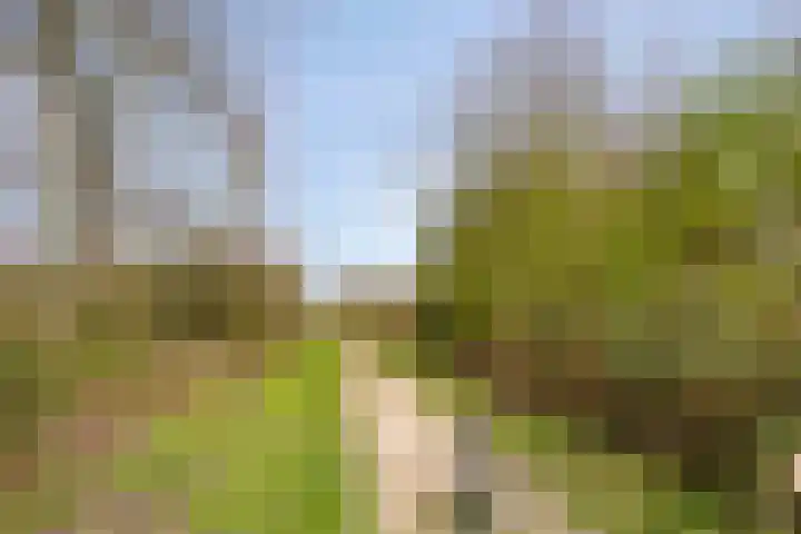 Molenweg 50 Maarssen thumbnail 39