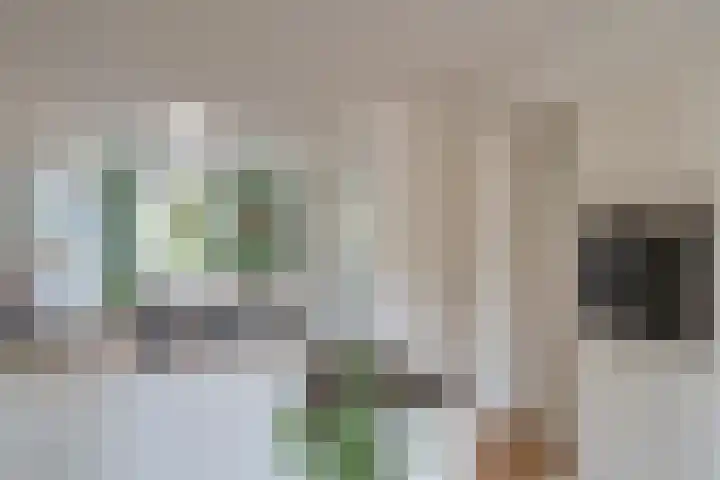 Molenweg 50 Maarssen thumbnail 4