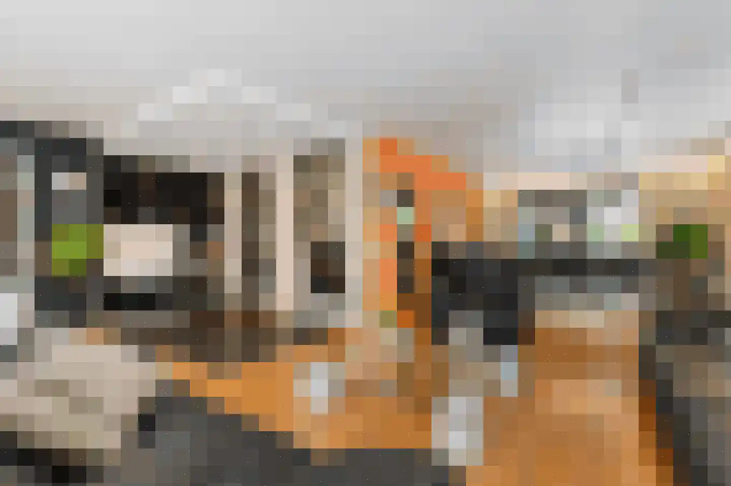 Molenweg 50 Meteren thumbnail 13