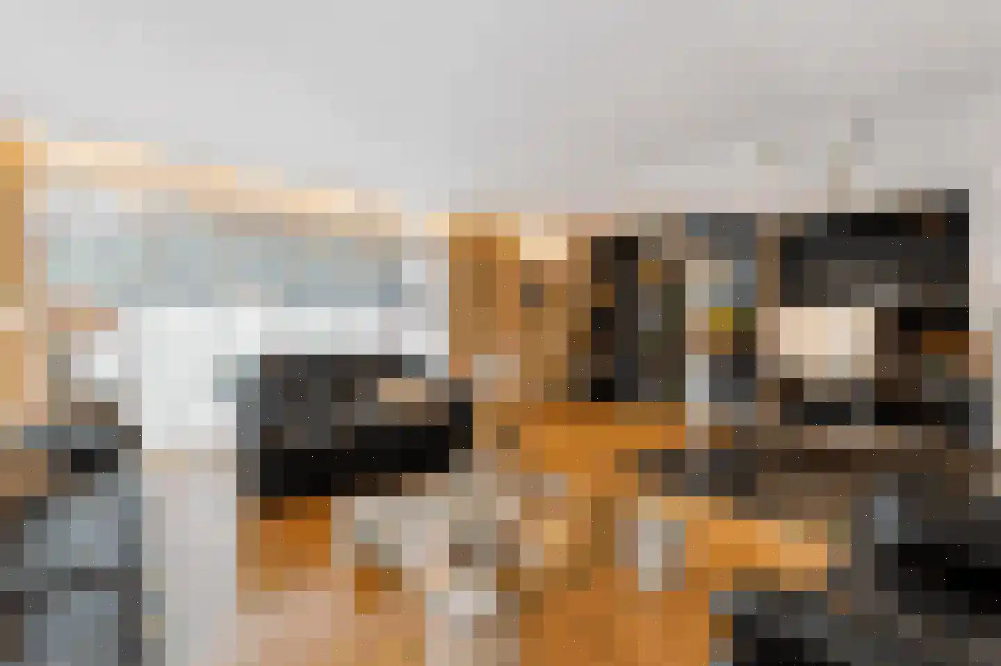 Molenweg 50 Meteren thumbnail 14