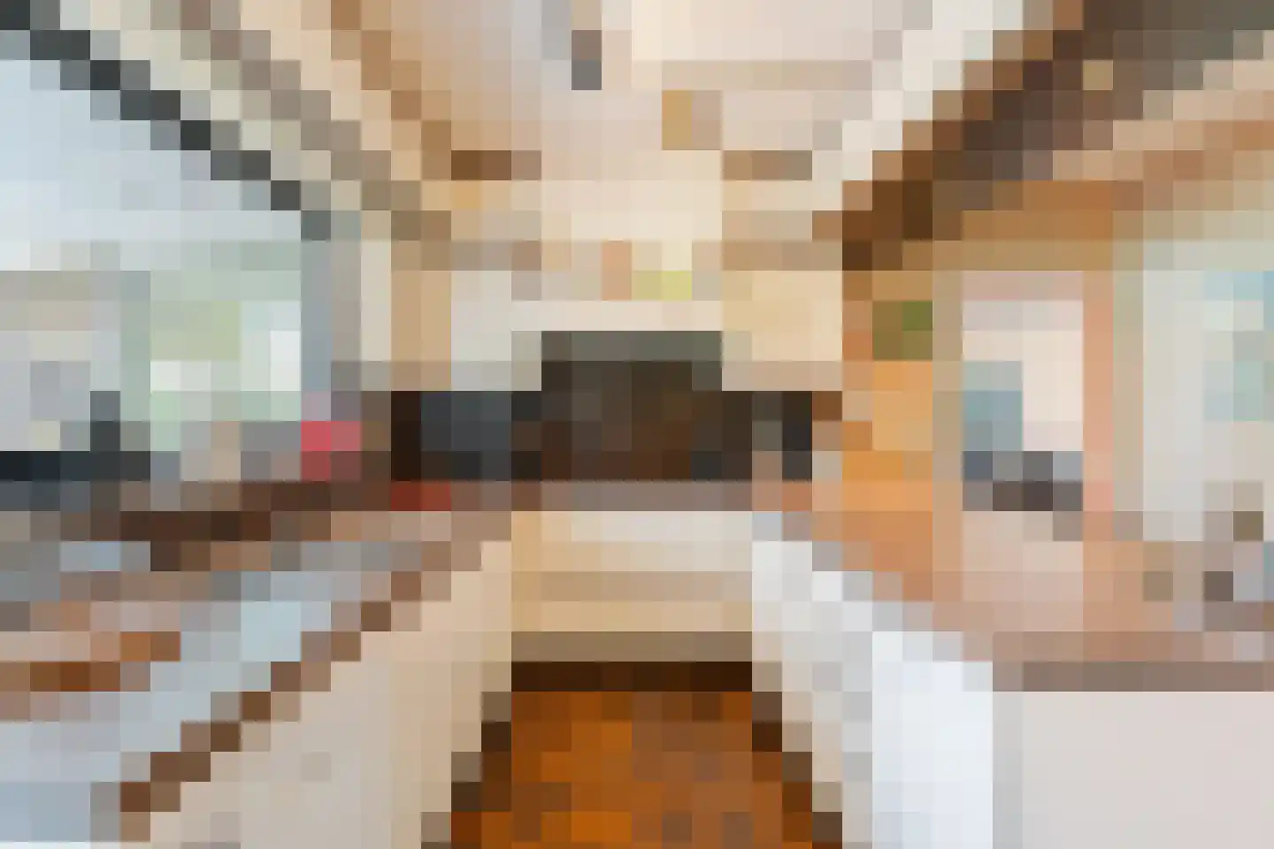 Molenweg 50 Meteren thumbnail 18