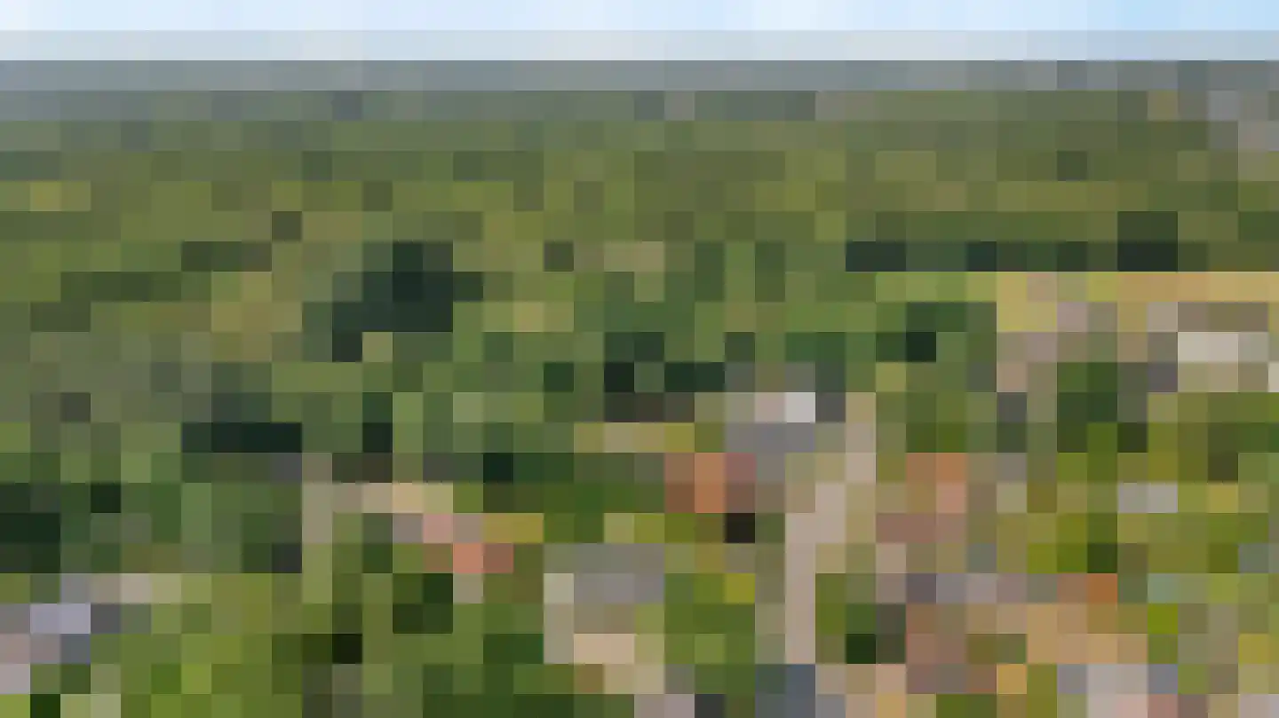 Molenweg 50 Meteren thumbnail 30