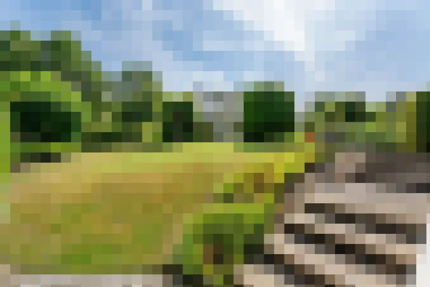 Molenweg 50 Meteren thumbnail 7