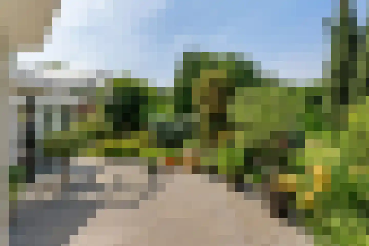 Molenweg 50 Meteren thumbnail 9