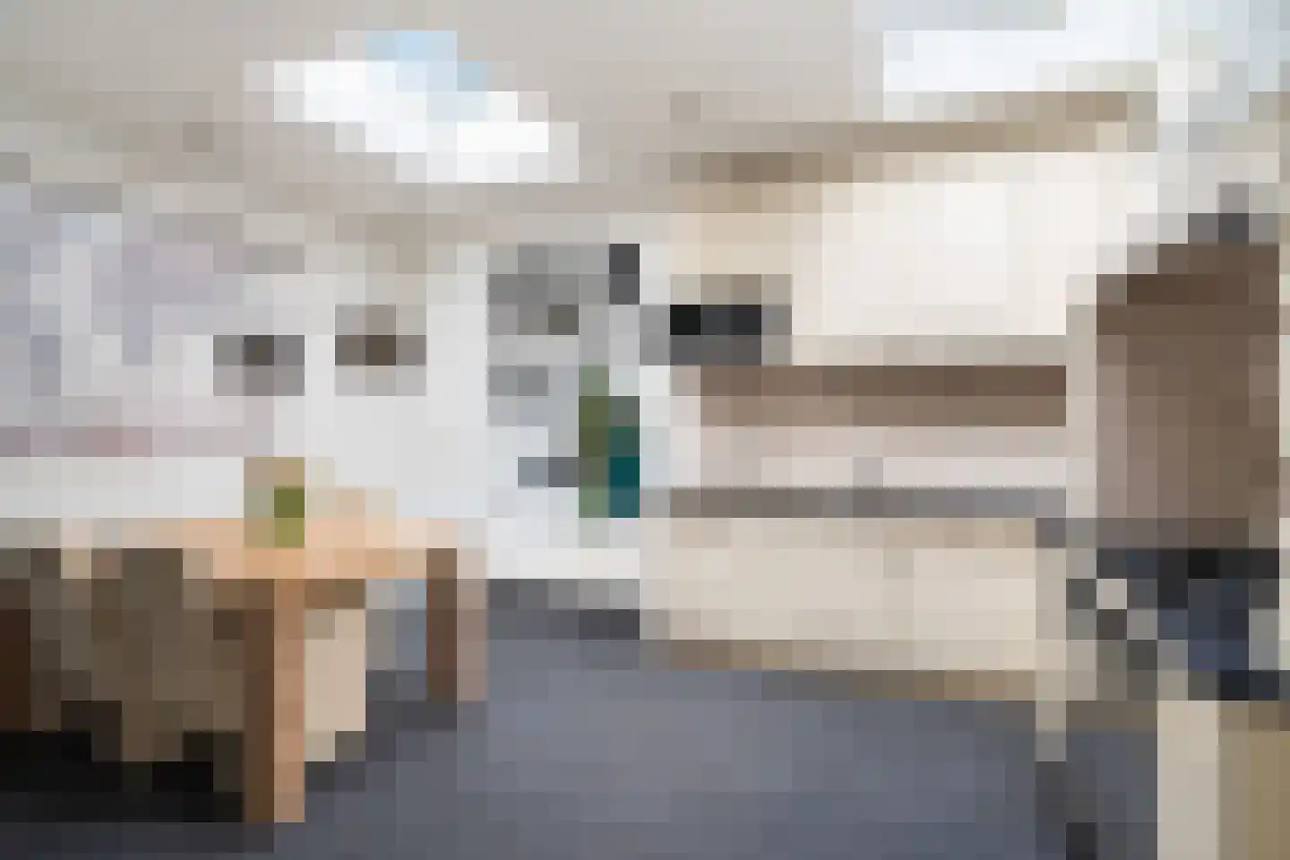 Molenweg 51 Berkel en Rodenrijs thumbnail 16