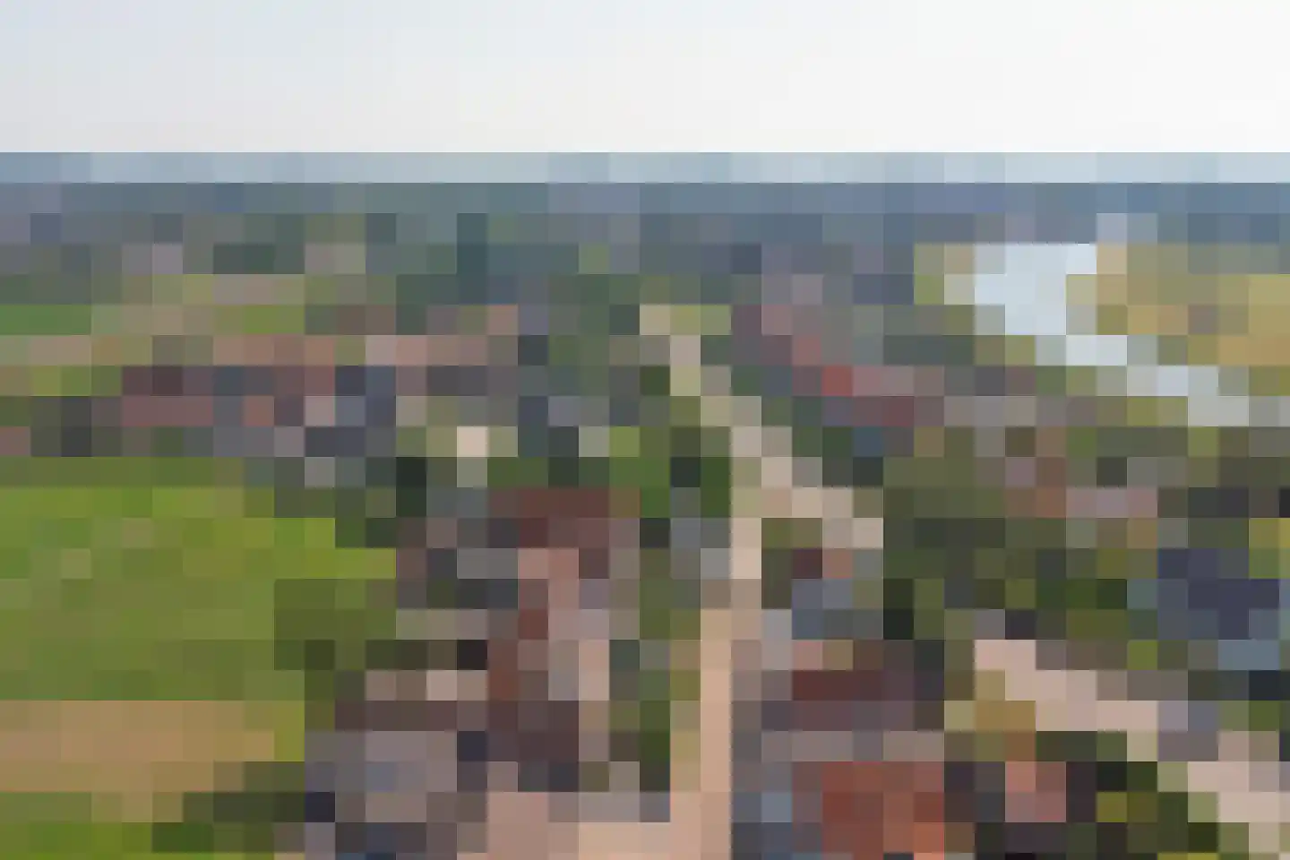 Molenweg 52 Arnemuiden thumbnail 4