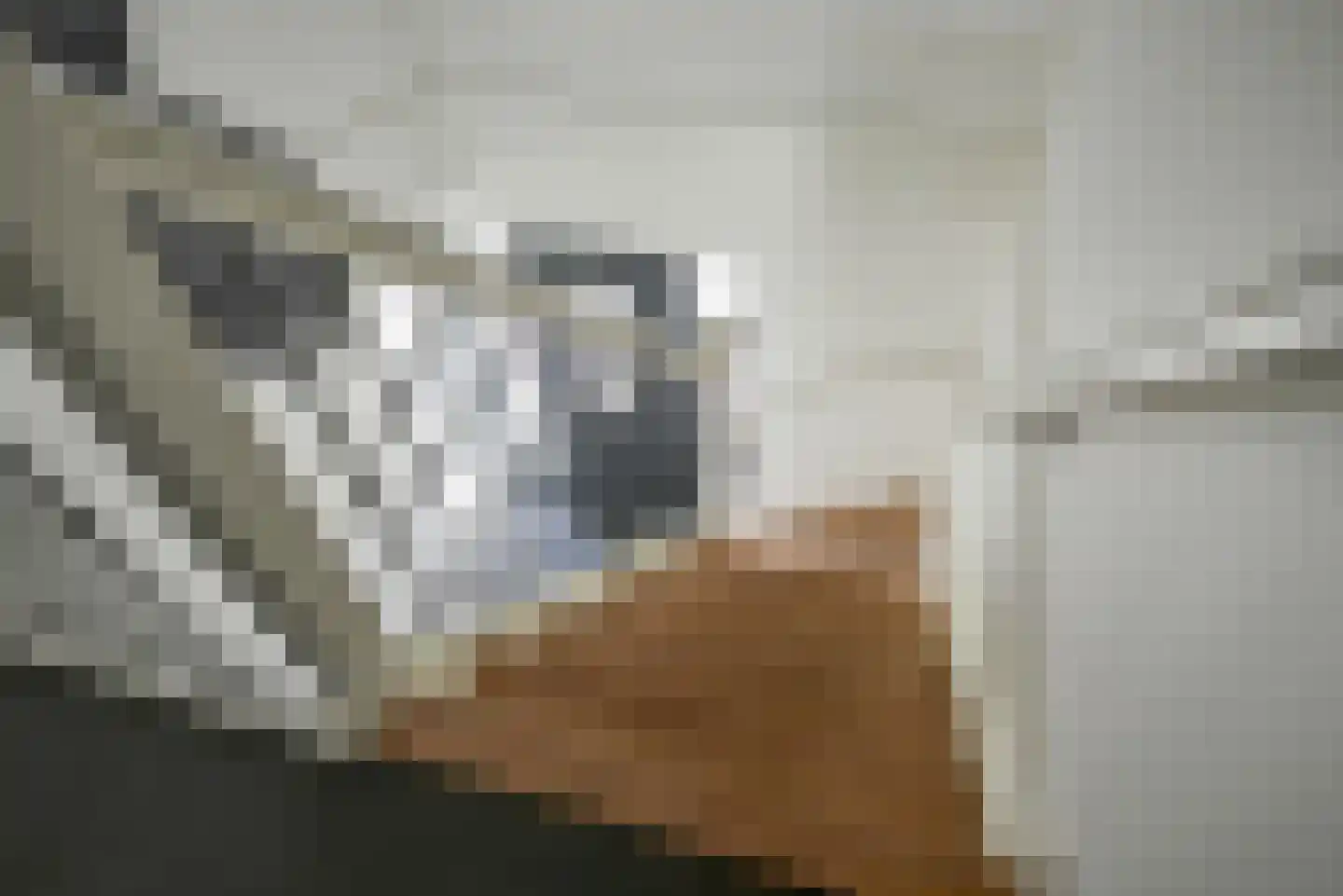 Molenweg 52 Berkel en Rodenrijs thumbnail 32