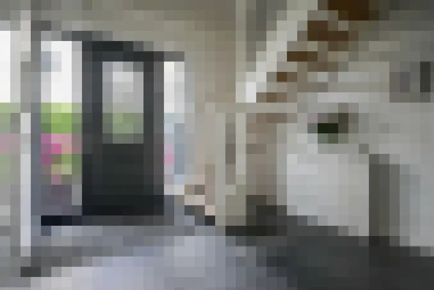 Molenweg 52 Berkel en Rodenrijs thumbnail 7