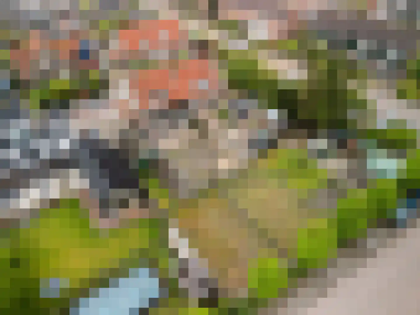 Molenweg 54 Maartensdijk thumbnail 26