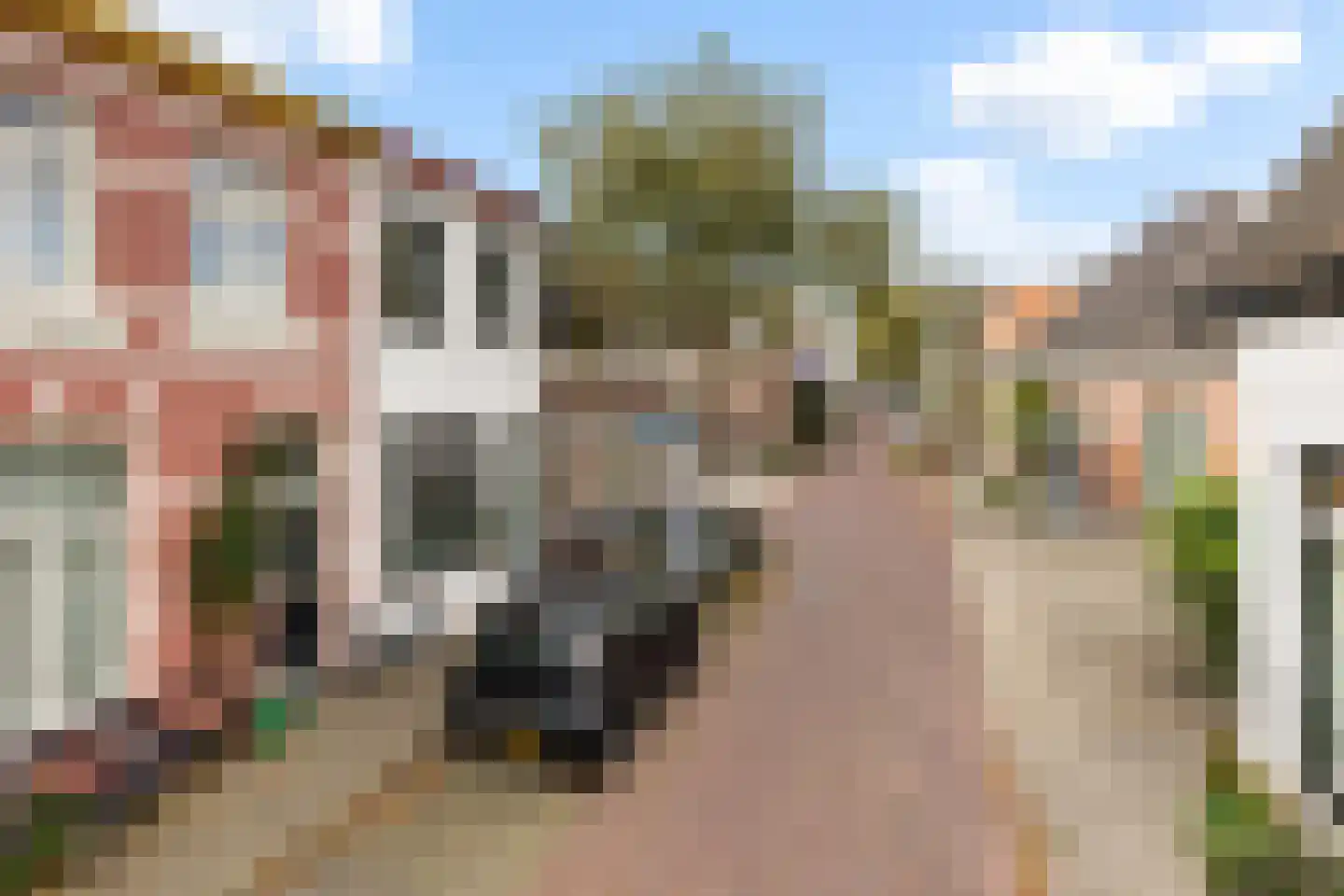 Molenweg 54 Zwolle thumbnail 4