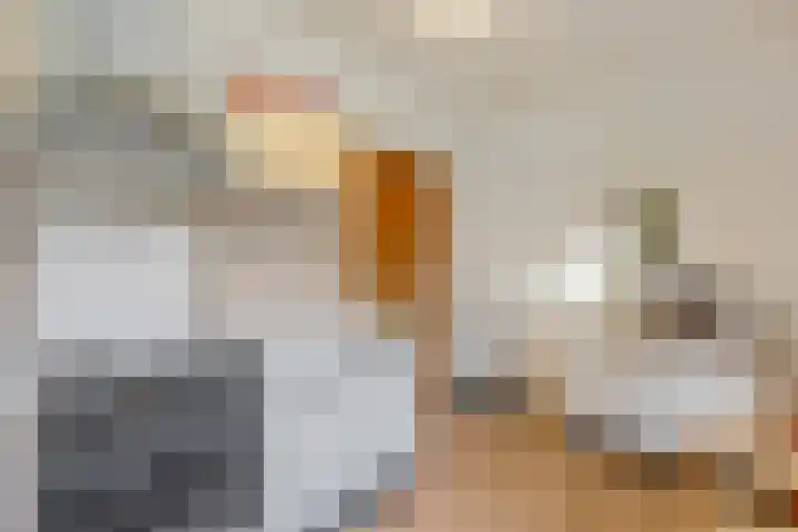Molenweg 56 Lunteren thumbnail 19