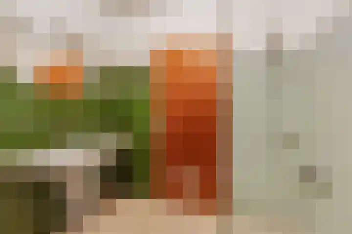 Molenweg 56 Lunteren thumbnail 26