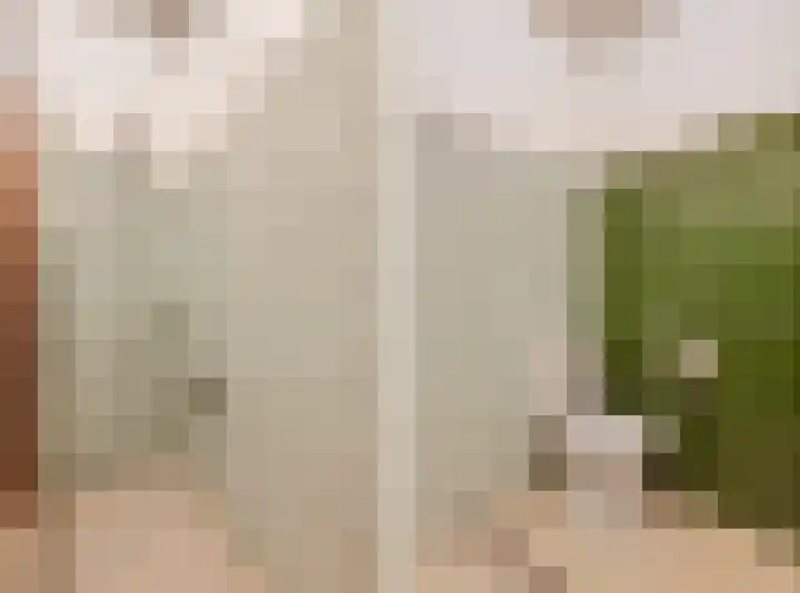 Molenweg 56 Lunteren thumbnail 27