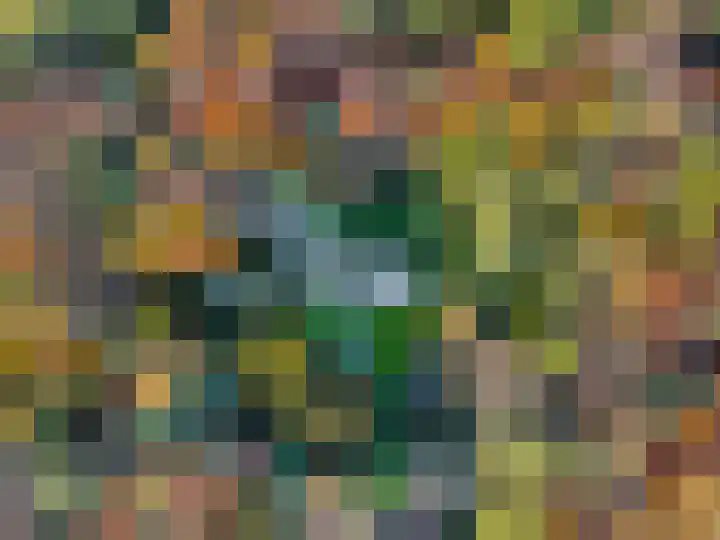 Molenweg 56 Lunteren thumbnail 4