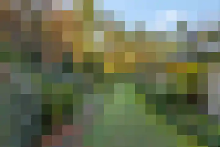 Molenweg 56 Lunteren thumbnail 44