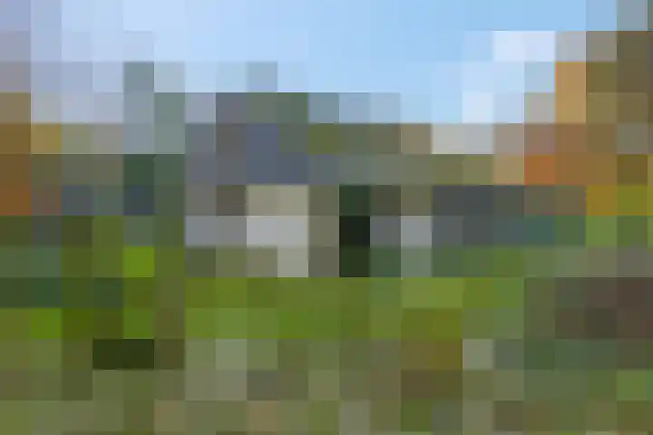 Molenweg 56 Lunteren thumbnail 45
