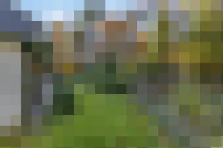 Molenweg 56 Lunteren thumbnail 46