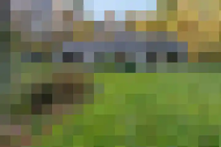 Molenweg 56 Lunteren thumbnail 48