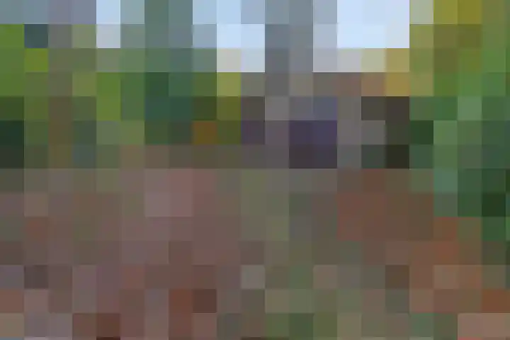 Molenweg 56 Lunteren thumbnail 50