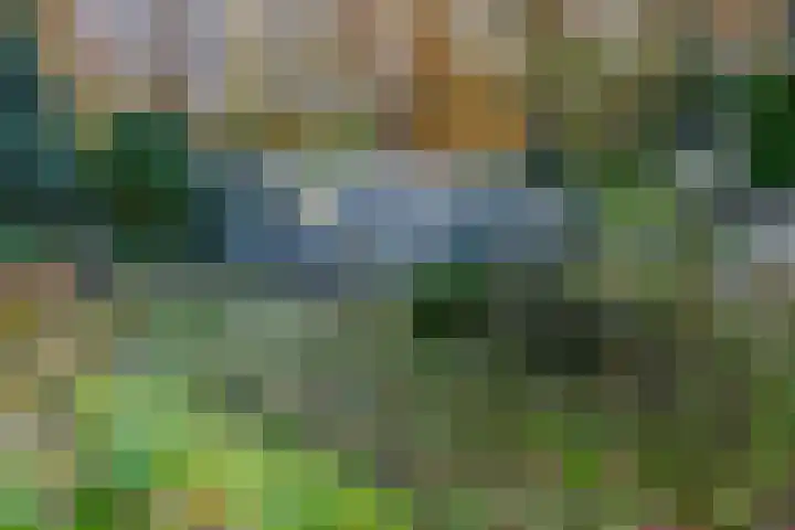 Molenweg 56 Lunteren thumbnail 51