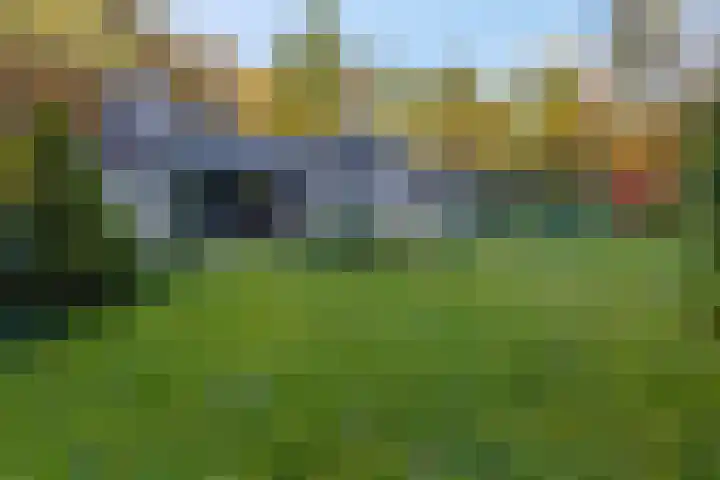 Molenweg 56 Lunteren thumbnail 52