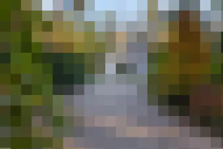 Molenweg 56 Lunteren thumbnail 53