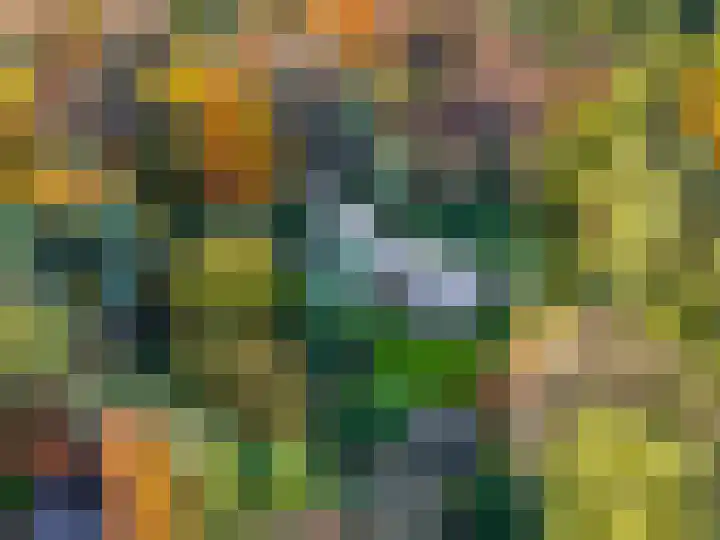 Molenweg 56 Lunteren thumbnail 57