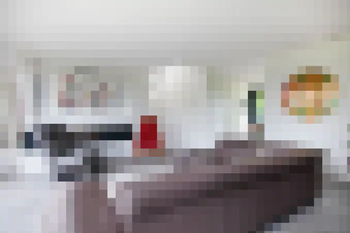 Molenweg 58 Berkel en Rodenrijs thumbnail 13