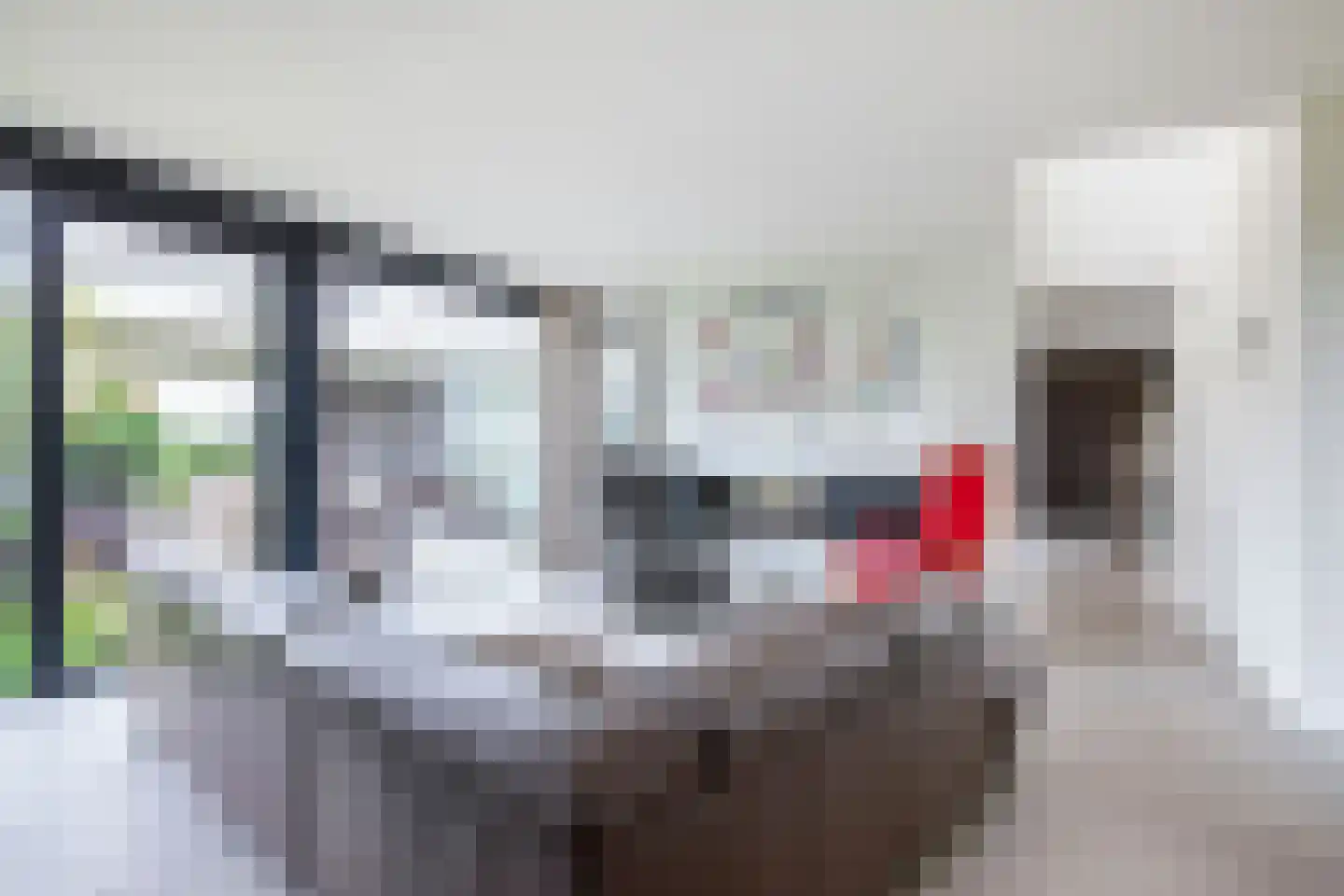 Molenweg 58 Berkel en Rodenrijs thumbnail 16